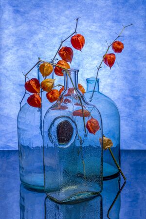 Still life with branches of physalis in glass jarsの写真素材