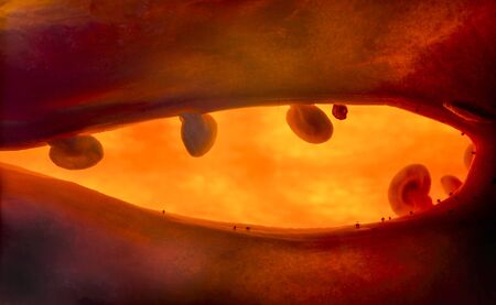 Martian landscape - closeup of red sweet pepper insideの写真素材