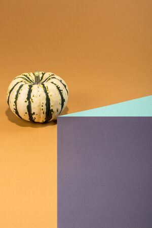 Ripe decorative pumpkin on a coloredの写真素材