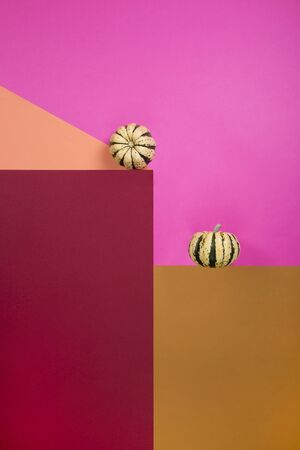 Ripe decorative pumpkins on a coloredの写真素材