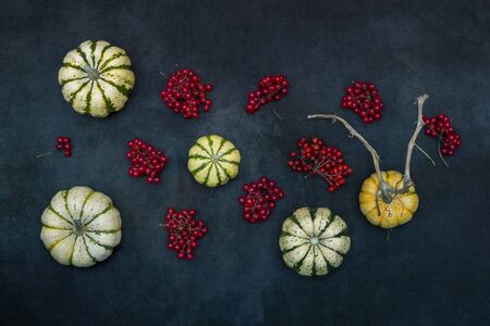 Still life with decorative pumpkins and viburnum, top view.の写真素材