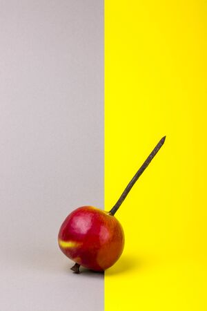Still life with apple and nailの写真素材