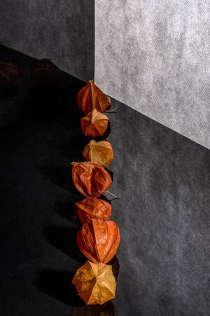 Still life with physalis flowers against a dark backgroundの写真素材