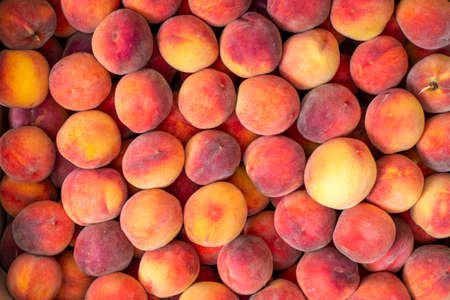 Background and texture of ripe peaches. Fruit harvest.の写真素材