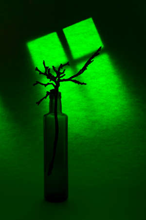 Still life with a bottle and a plant "Green Eyarning"の写真素材