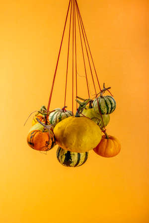 Various decorative pumpkins are hung on a rope