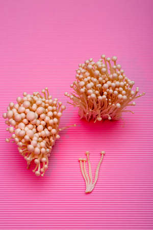 Harvest Edible Enokitake Mushroom on Pink Background