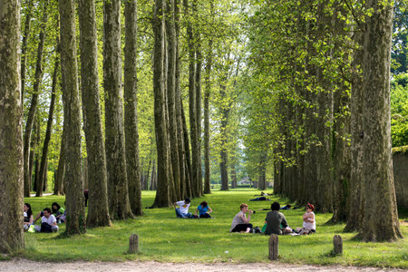 Versailles, France - June 08, 2013: Young people on vacation in the park of the Palace of Versaillesのeditorial素材
