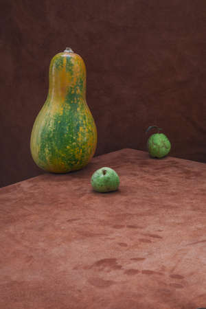 Still life with pumpkin and two pearsの写真素材