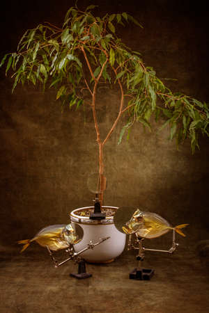 Still life with two fish and a houseplantの写真素材