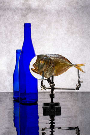 Still life with blue bottles and sea fish with magnifying glassの写真素材