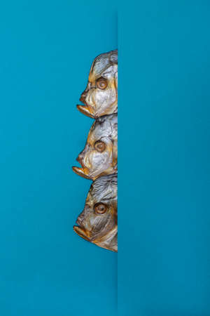 Three heads of smoked sea fish on a blue backgroundの写真素材