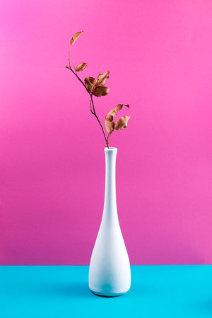 Still life with a white vase and a branch with dry leavesの写真素材