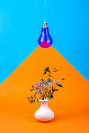 Geometric Still Life with Purple Light Bulb On Wire and Vase with Flowersの写真素材