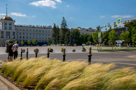 Belgorod, Russia - July 08, 2021: Lawn with feather grass on the background of Cathedral Square in the center of Belgorodのeditorial素材