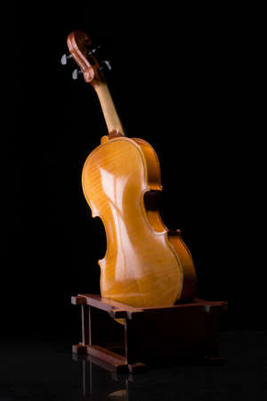 The reverse side of a violin on stand on a black backgroundの写真素材