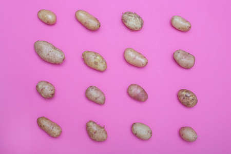 Fresh potatoes arranged in rows on a pink backgroundの写真素材