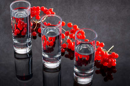 Still life with three glass glasses and red viburnum berriesの写真素材