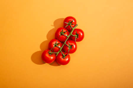 Ripe red tomatoes on a branch on a yellow backgroundの写真素材