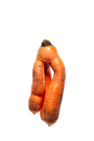 Ripe carrots of an unusual shape on a white background