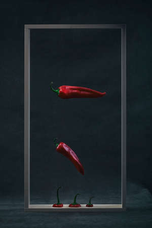 Two red sweet ripe peppers in a wooden frameの写真素材