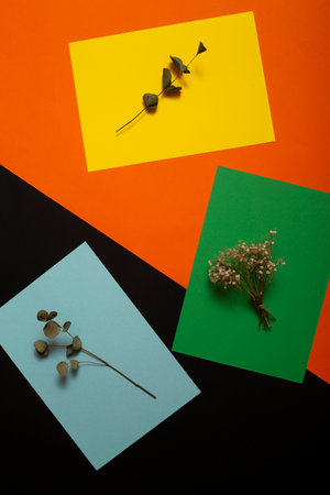 Abstract background of sheets of colored paper with branches of flowers, for decoration, for text design, for templateの写真素材