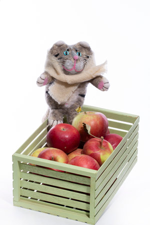 Gray cat - soft toy made of felt woolの写真素材