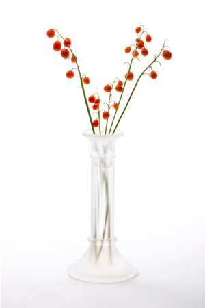 Still life with lily of the valley berries in a glass vase on a white backgroundの写真素材