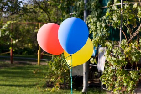 Red, blue and yellow inflated balloons on a stringの写真素材