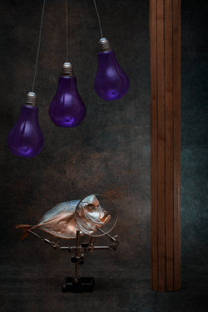 Still life with moonfish, light bulbs and a wooden figureの写真素材