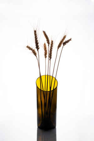 Wheat ears in a transparent vase on a white backgroundの写真素材