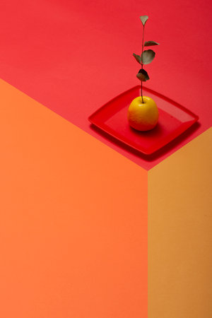 Geometric still life with a yellow apple on a red plateの写真素材