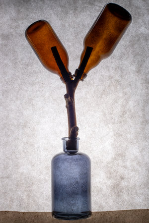 Still life with a figure of colored bottlesの写真素材