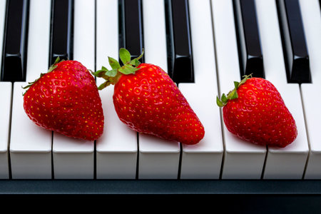 Three ripe strawberries on the piano keysの写真素材