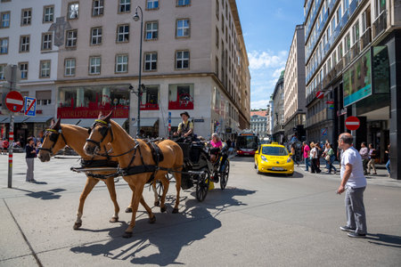 Vienna, Austria - June 13, 2023: Walking cart with horses on Josefsplatz Square in Viennaのeditorial素材