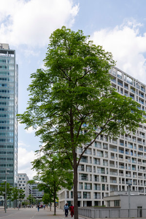 Vienna, Austria - June 14, 2023: A growing tree at the Vienna International Center "Donau-City"のeditorial素材