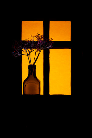 Still life with colored glass bottle and plant twigs in the window