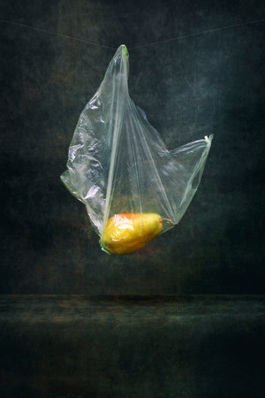 Ripe pear in a cellophane bag on a string on a dark background