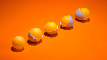 Yolk