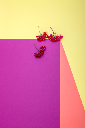Geometric still life with red viburnum berries