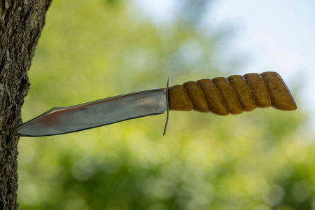 Big sharp knife sticks out in the tree