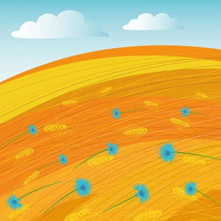 Summer landscape with the cut grass, wheat spikelets, cornflowers and clouds.のイラスト素材