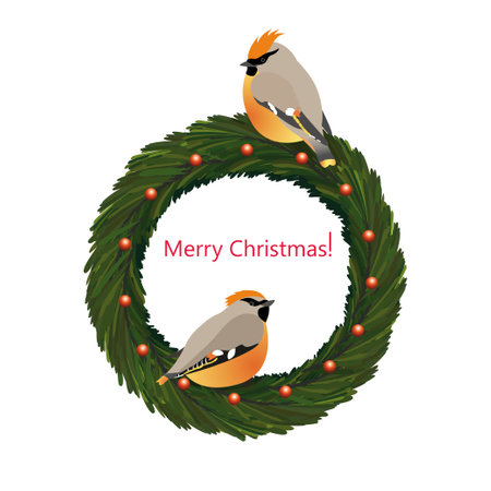 Christmas wreath with ornaments and birds waxwing isolated on a white background.のイラスト素材