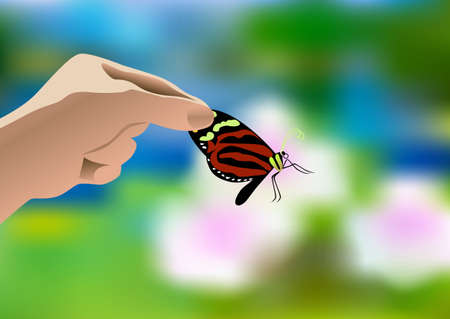 Human hand holding a butterfly on floral blurry background.のイラスト素材