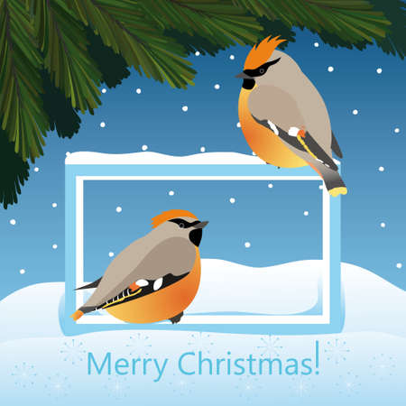 Winter Christmas landscape with fir-tree and birds. Greeting Christmas card or poster with fir branches and waxwings.のイラスト素材