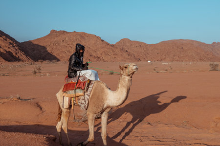 Bedouin Rider on a Camel in a Desert Landscape.の写真素材