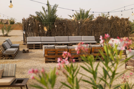 Outdoor lounge in a palm oasis. Saudi Arabia.の写真素材
