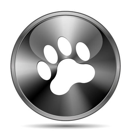 Glossy shiny glass icon on white backgroundの写真素材