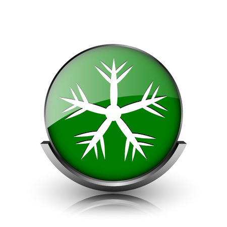 Green shiny glossy icon on white backgroundの写真素材