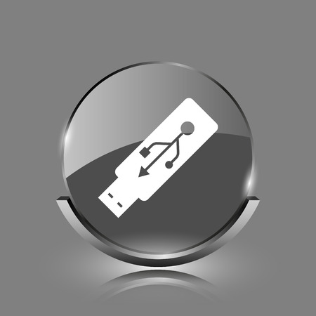 Usb flash drive icon. Shiny glossy internet button on grey background.
の写真素材